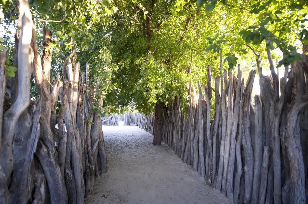 Ongula Village Homestead Lodge Ondangwa Kültér fotó