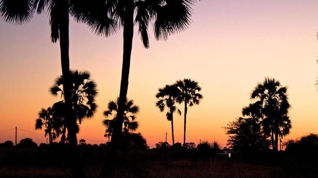 Ongula Village Homestead Lodge Ondangwa Kültér fotó